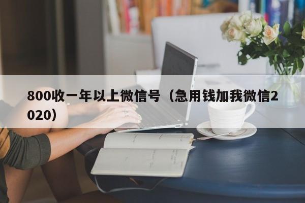 800收一年以上微信号（急用钱加我微信2020）